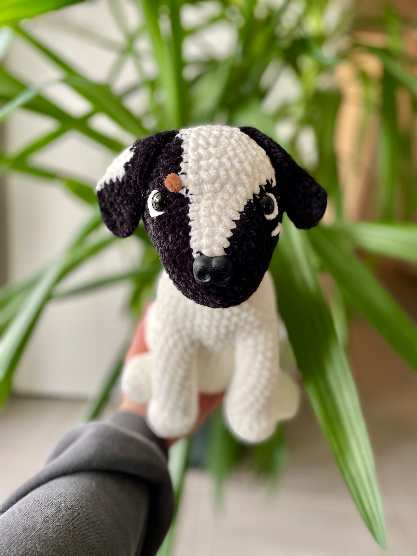 Bucky [Commande Custom]