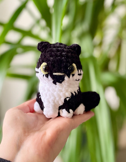 Kadji [Commande Custom]