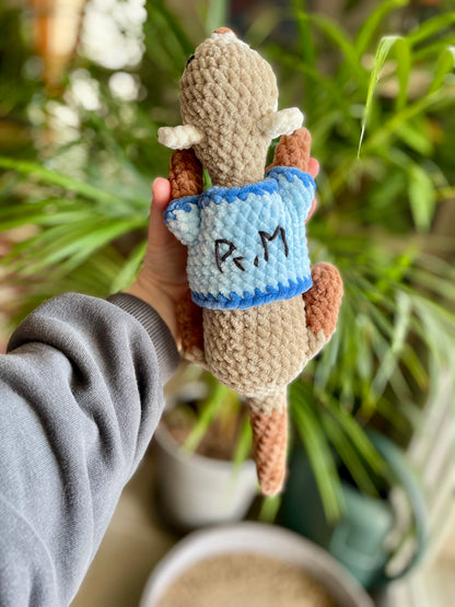 Pr. Morty [Commande Custom]