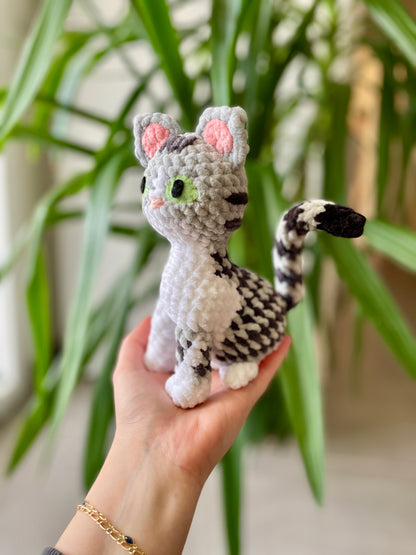 Neda [Commande Custom]