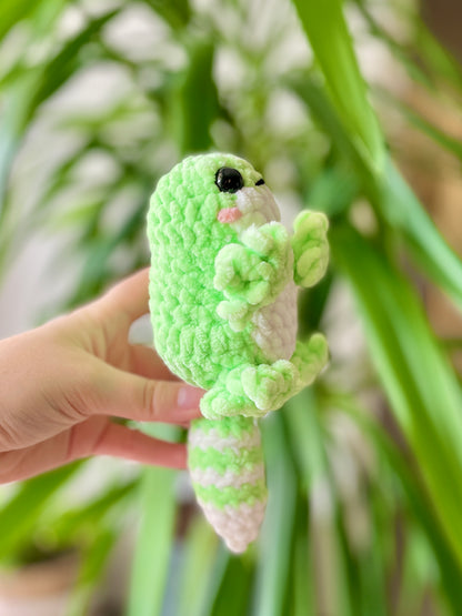 Gecko [plusieurs coloris]