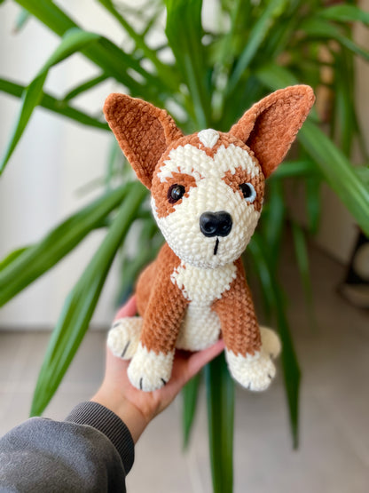 Amstaff croisé Boxer [Commande Custom]