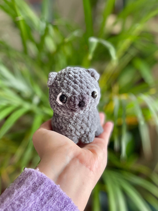 Iggy [Commande Custom]