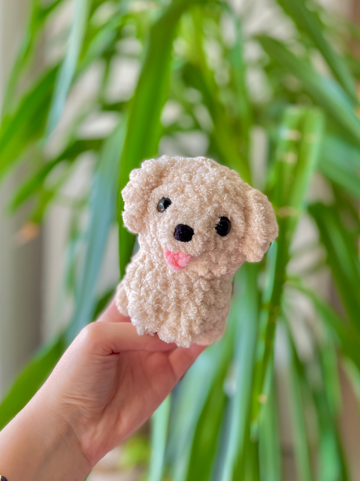Ziggy [Commande Custom]