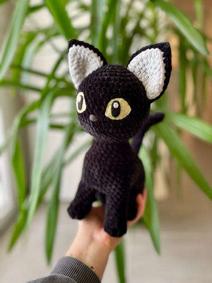 Raven [Commande Custom]