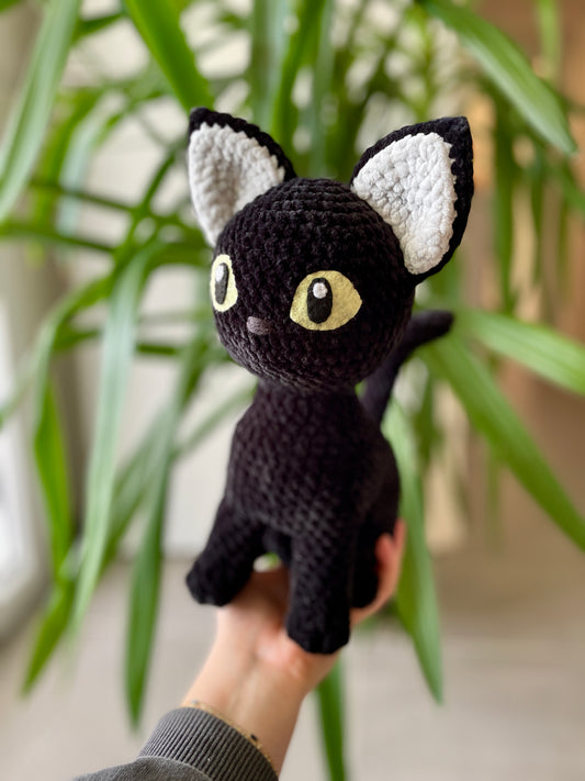 Raven [Commande Custom]