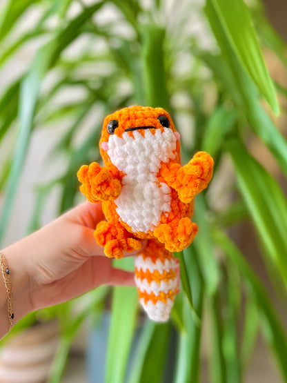 Gecko [plusieurs coloris]