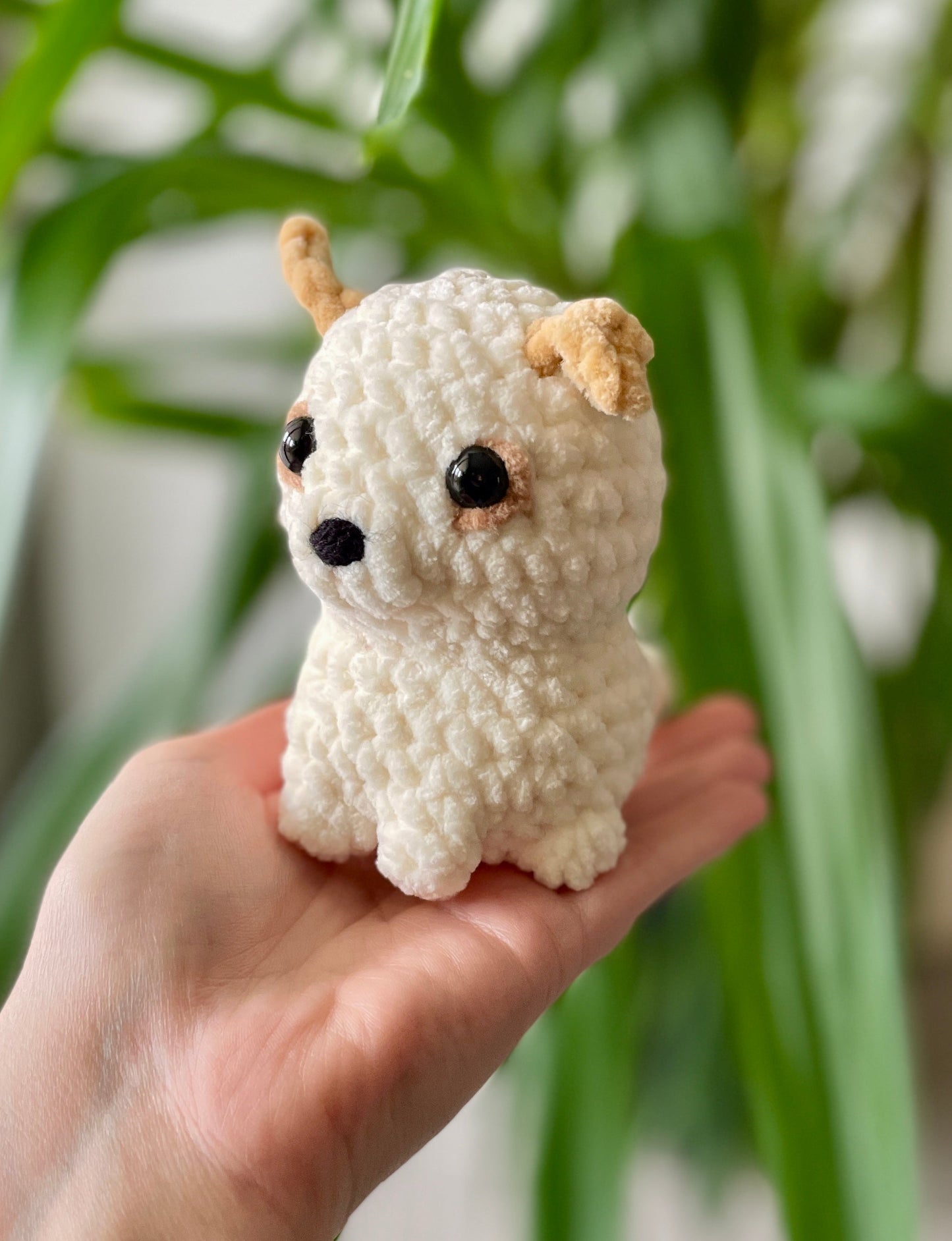 Blaze [Commande Custom]