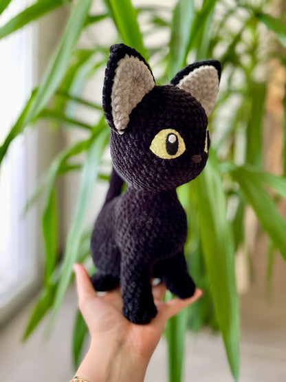 Raven [Commande Custom]