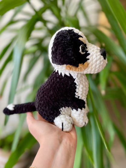 Raoul [Commande Custom]
