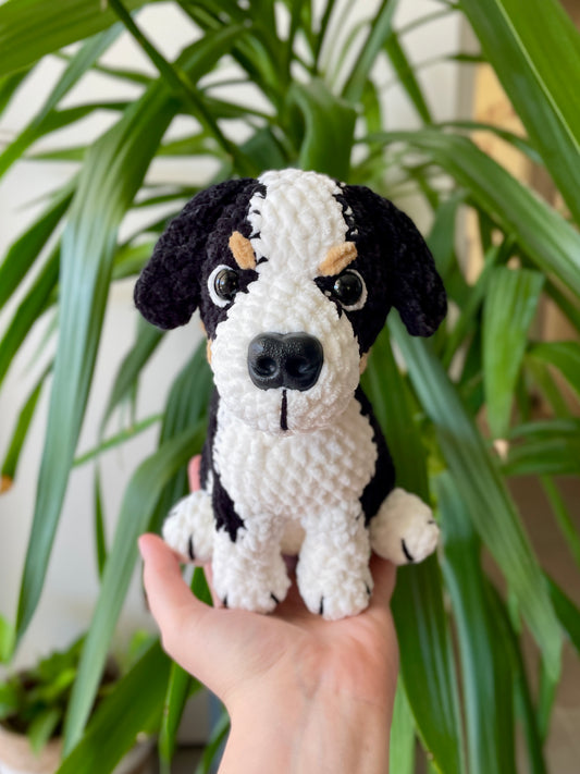 Raoul [Commande Custom]