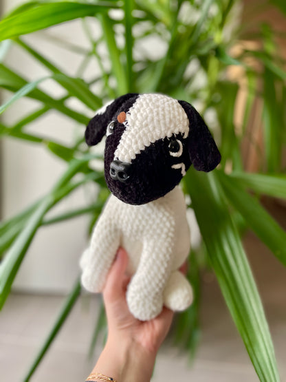 Bucky [Commande Custom]