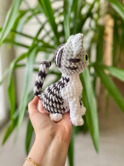 Neda [Commande Custom]