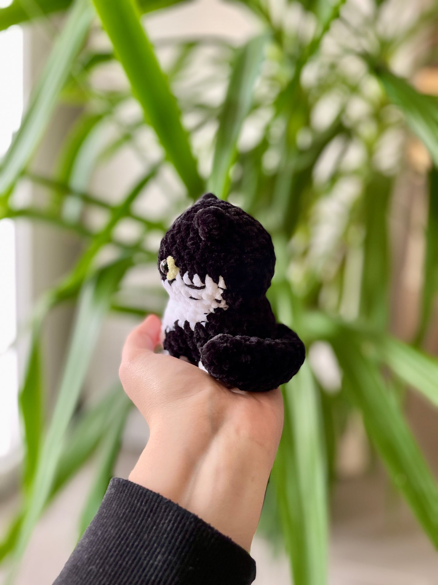 Kadji [Commande Custom]