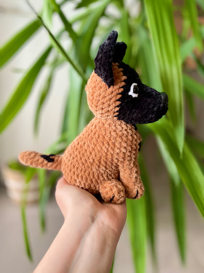 Diego [Commande Custom]