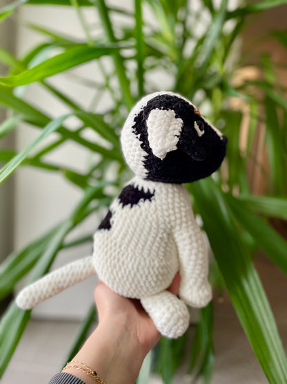 Bucky [Commande Custom]