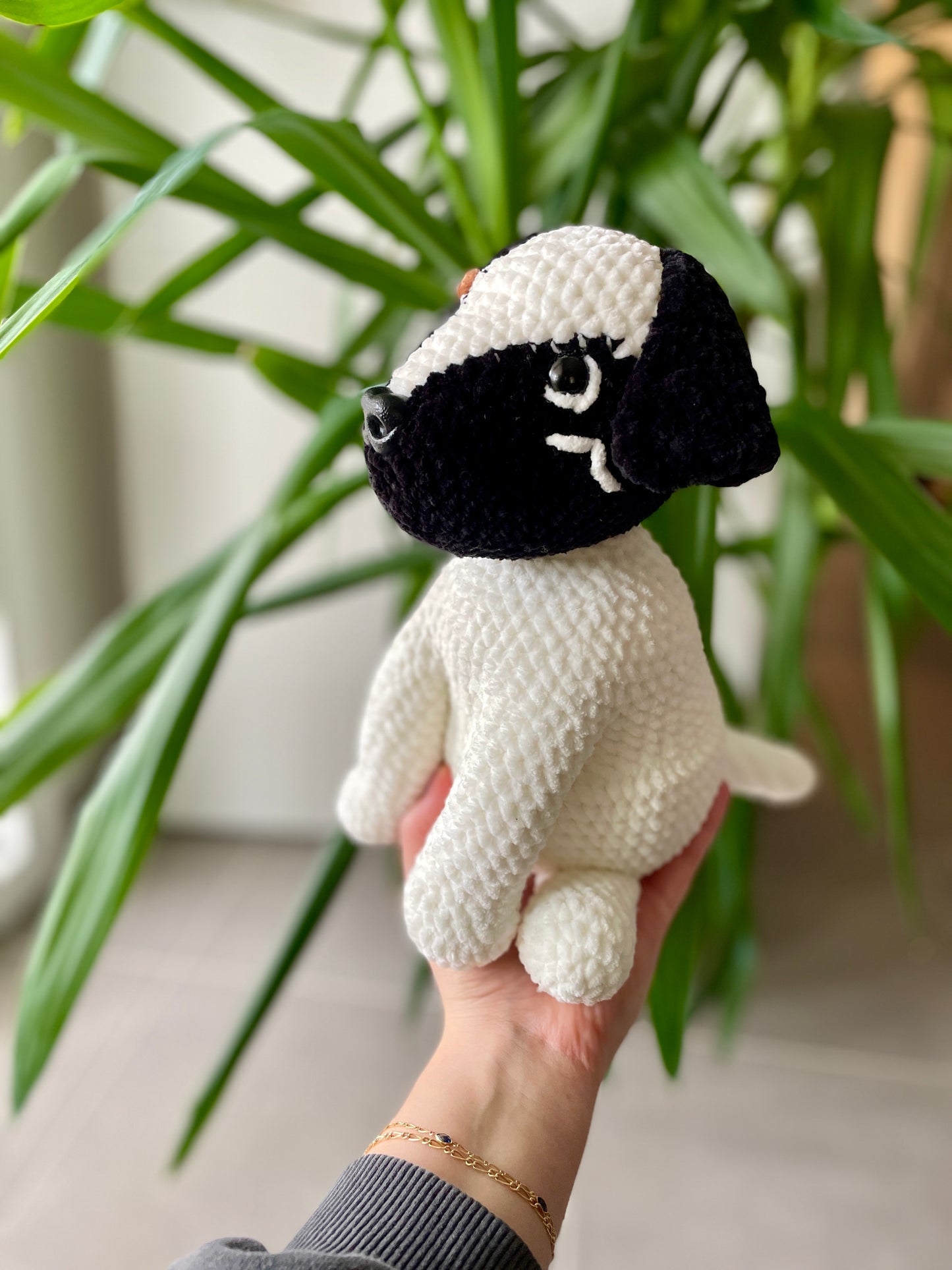 Bucky [Commande Custom]