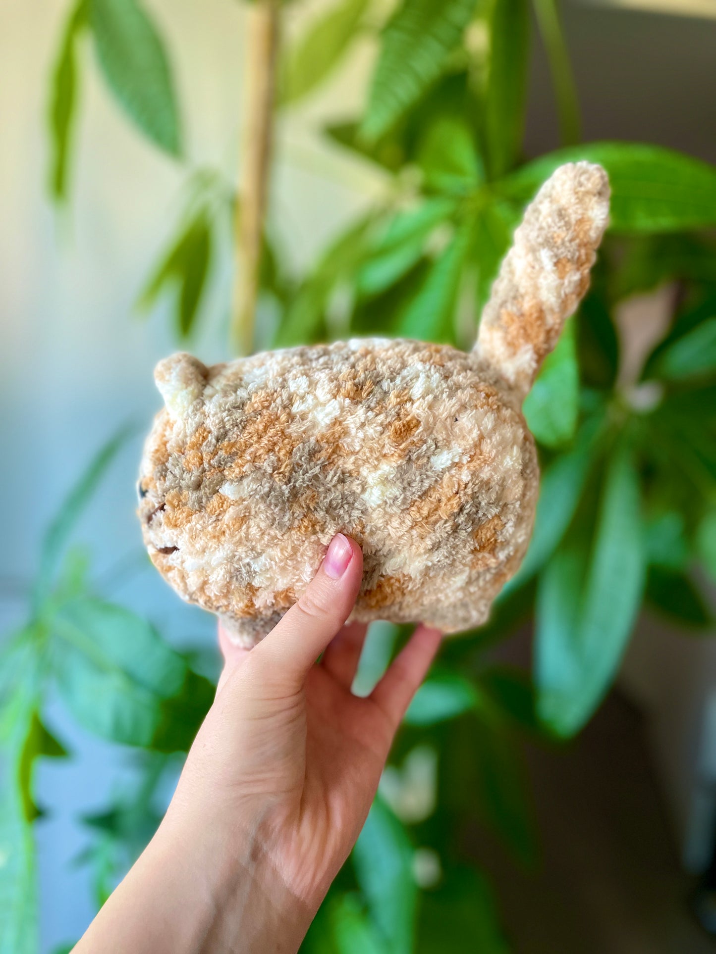 Chat dodu [plusieurs coloris]