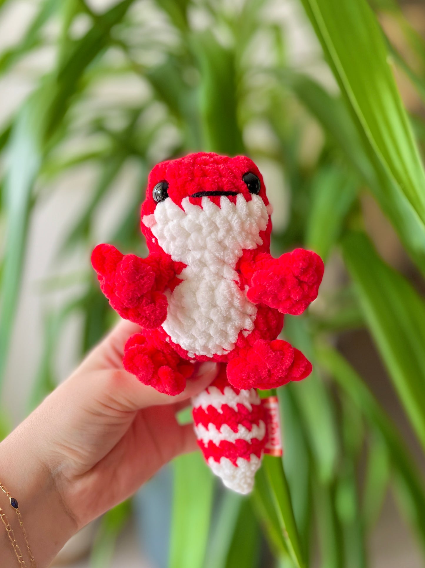 Gecko [plusieurs coloris]
