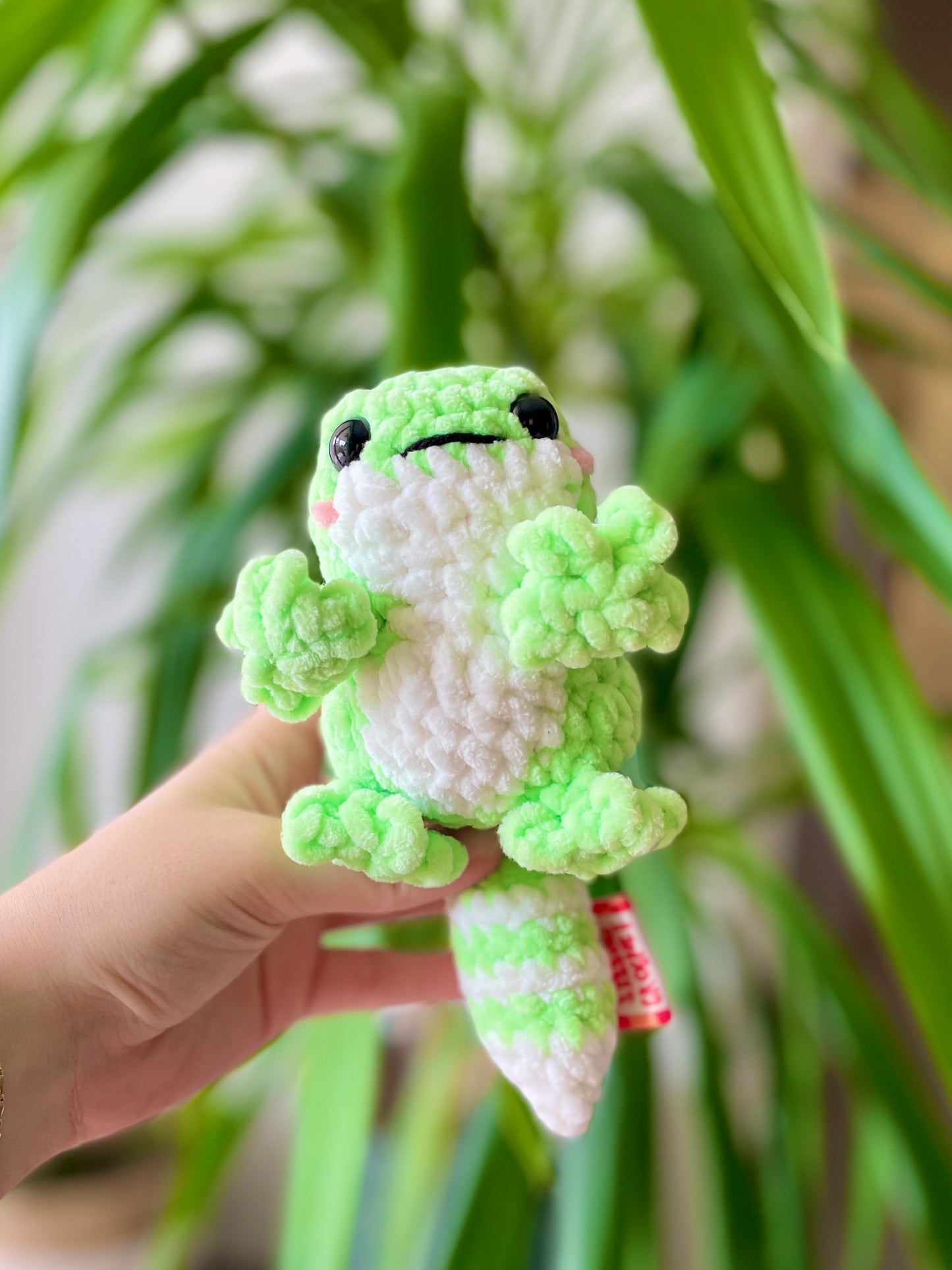 Gecko [plusieurs coloris]