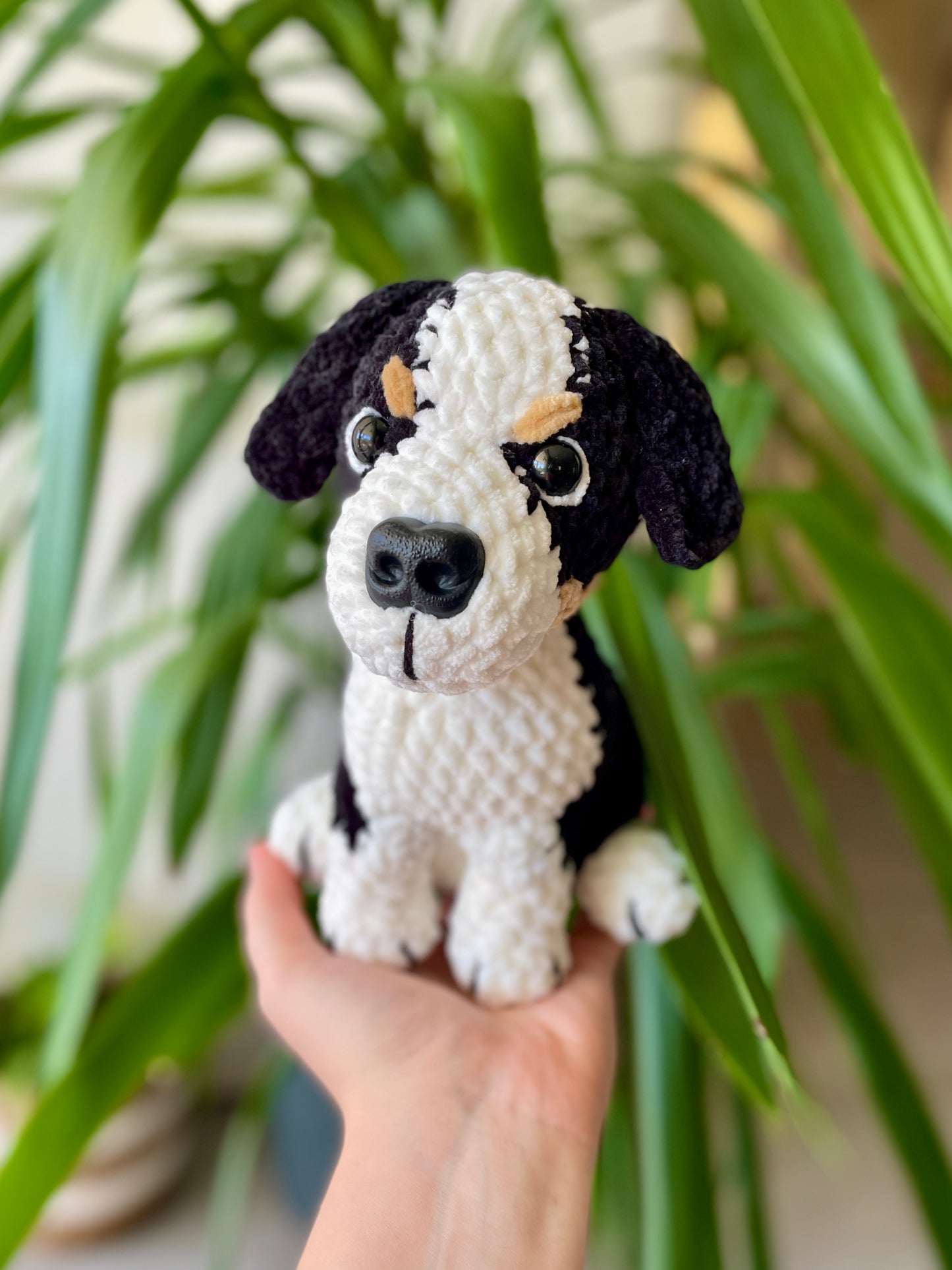 Raoul [Commande Custom]