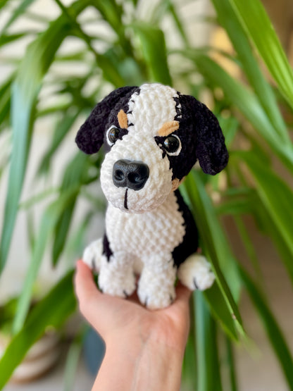 Raoul [Commande Custom]
