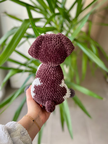 Ruby [Commande Custom]