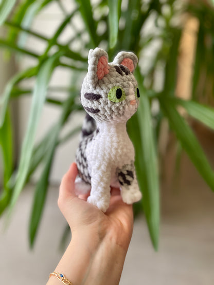 Neda [Commande Custom]