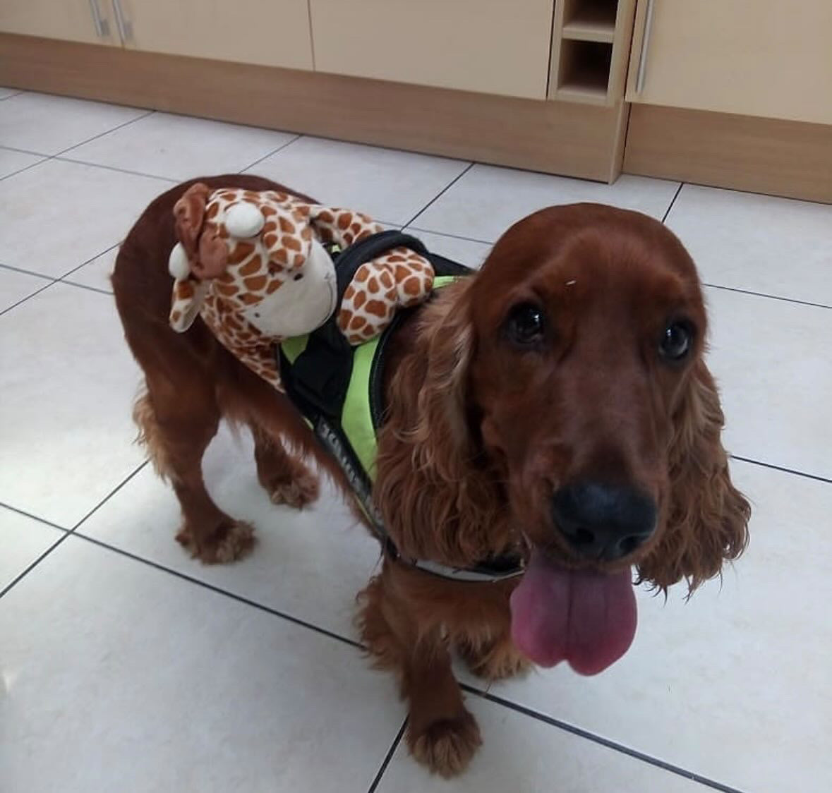 Max [Commande Custom]