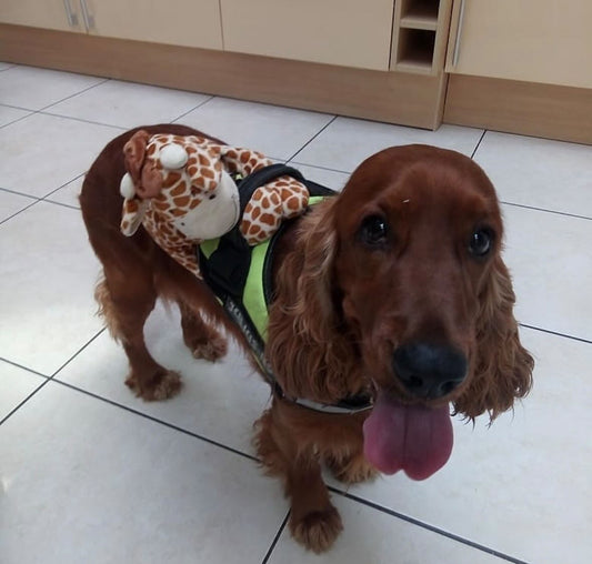 Max [Commande Custom]