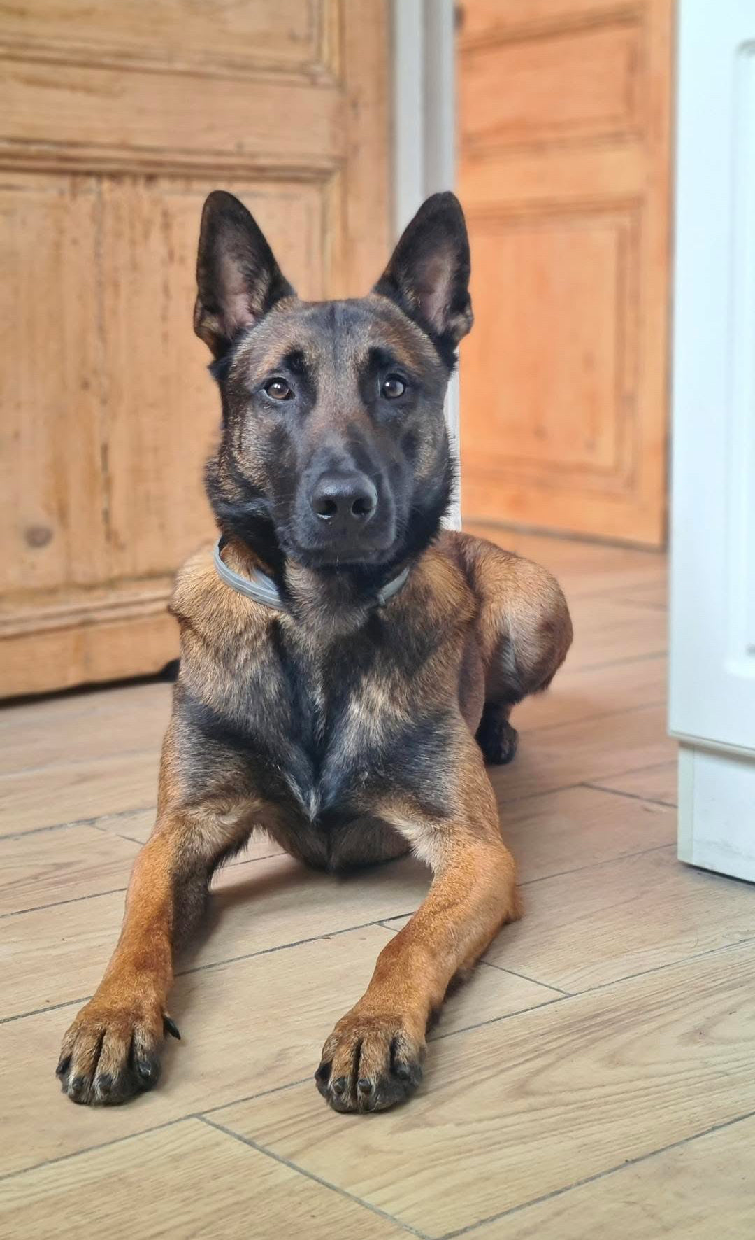 Téos [Commande Custom]