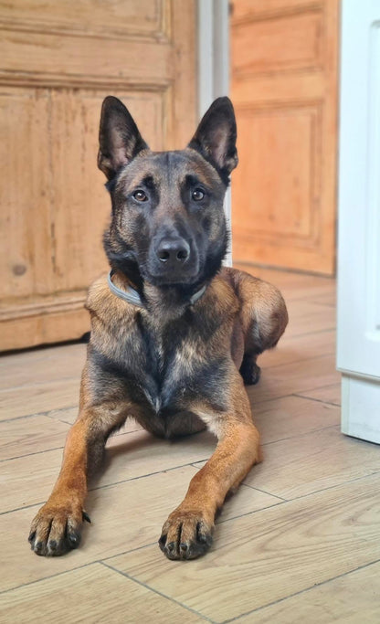 Téos [Commande Custom]