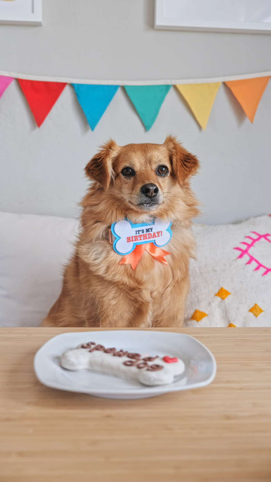 Billie [Commande Custom]