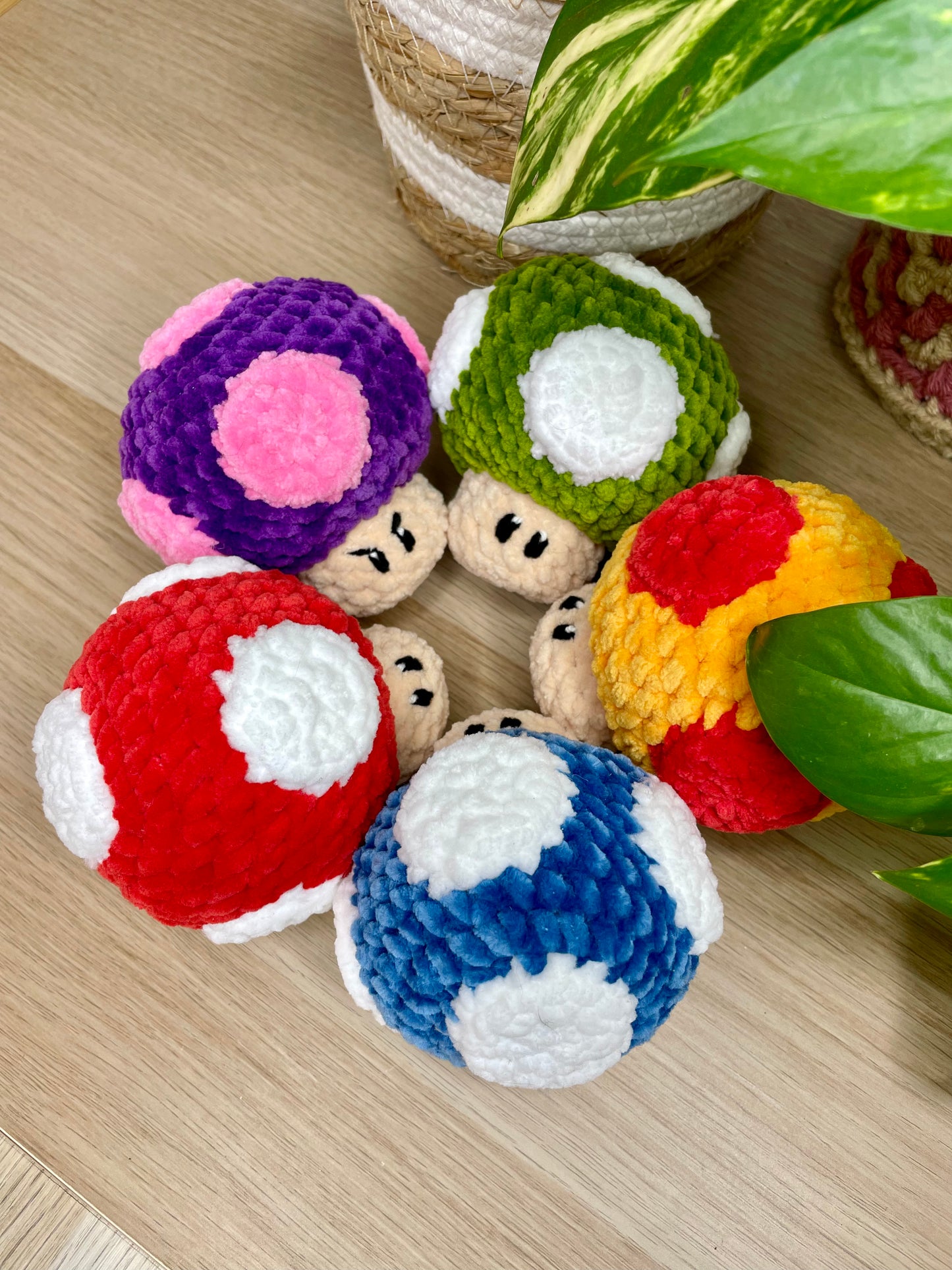 Super Champignons [plusieurs coloris]