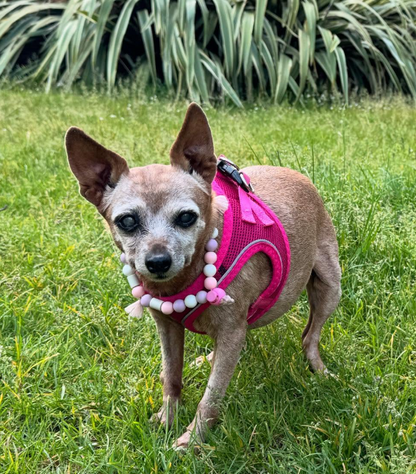 Lila [Commande Custom]