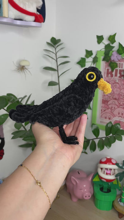 Oiseau Merle [Commande Custom]