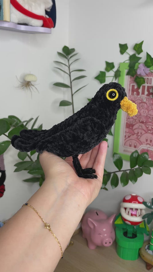 Oiseau Merle [Commande Custom]