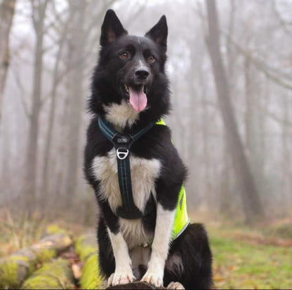 Pepper [Commande Custom]